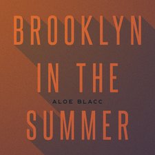 Brooklyn in the Summer artwork