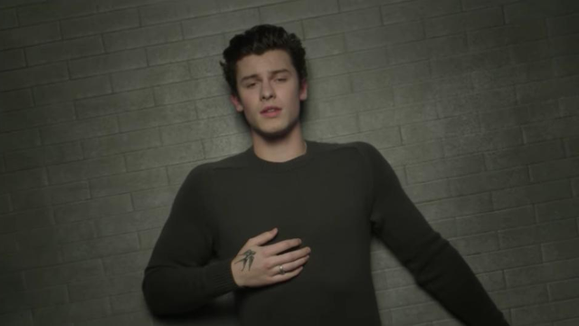 Shawn Mendes In My Blood Video