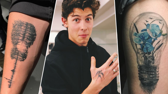 Swallow tattoo on Shawn Mendes.