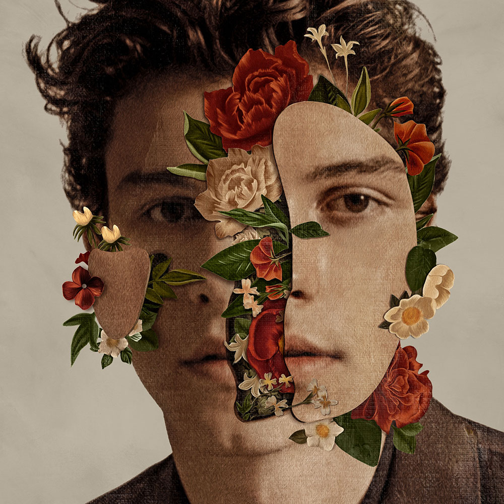 Shawn Mendes - The Album Cover Art