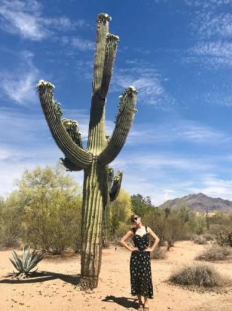 Taylor Swift Cactus