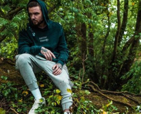 Liam Payne In A Forrest