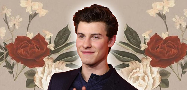 Shawn Mendes New Song