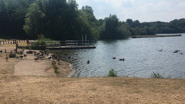 Colwick Park Lake