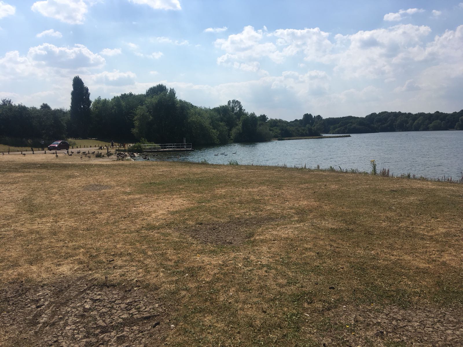 Colwick Park Lake 