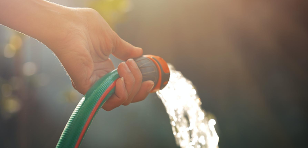 Hosepipe heatwave
