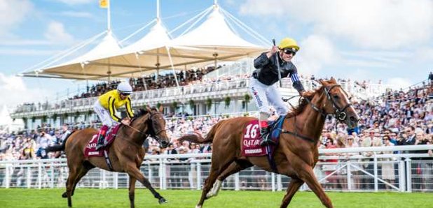 Qata Goodwood