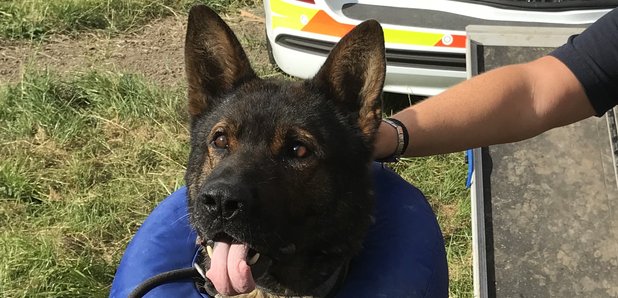 PD Axle