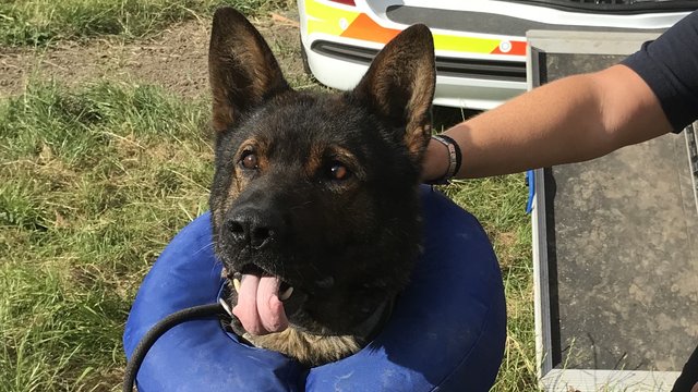 PD Axle 