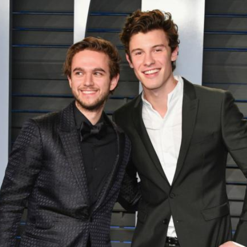 Zedd and Shawn Mendes Collab Asset