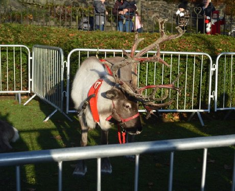 Stirling Christmas Light Switch On!