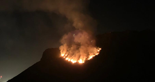 Arthur's seat 2019