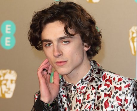 Timothée Chalamet age net worth relationship Lily Rose Depp call me by your name

