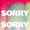 Sorry artwork