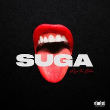 Savage (Remix) artwork