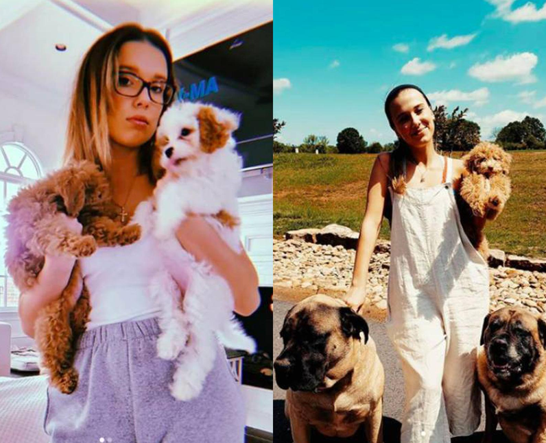 How many dogs does Millie Bobby Brown have?
