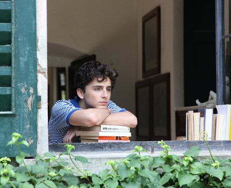 Timothee Chalamet S Age Films Net Worth And Other Facts You Need To Know Capital