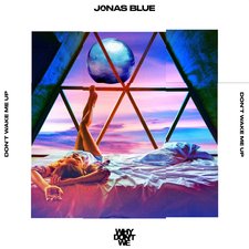 Don't Wake Me Up artwork